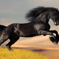 في ذمتي مآلك مع العالم أشبآه ولآ يعوض عن غيآبك قبيله ♡