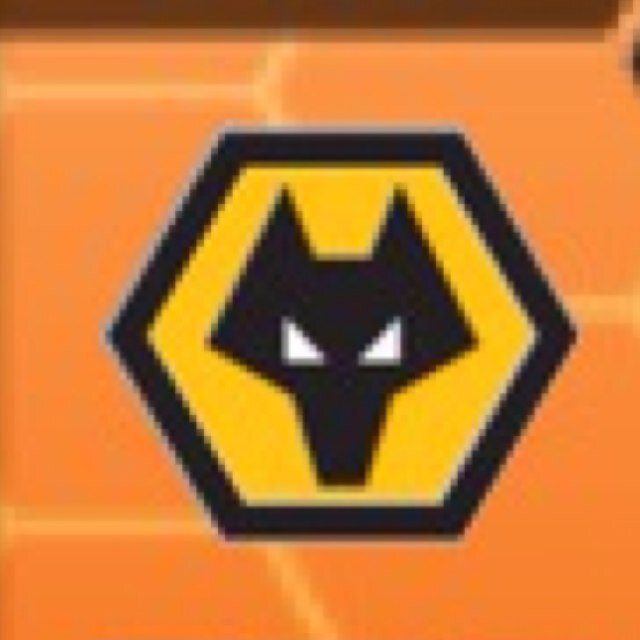 mralexwolves's profile picture. wolves