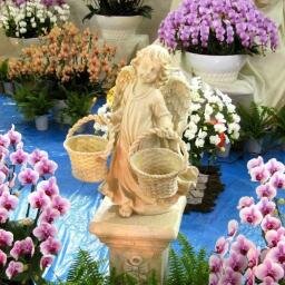 最近は人生の8割方くらいフランコイシーにご執心なお歳頃(/ω＼)