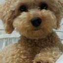 Sungsoo Kim - @ajhkss - Twitter