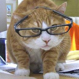 vuechallenge1 Profile Picture