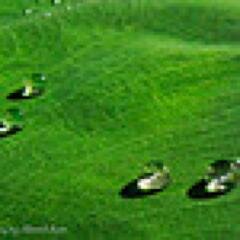 HooponoponoMad's profile picture. El signo más evidente de que se ha encontrado la verdad es la Paz Interior.
Amado Nervo