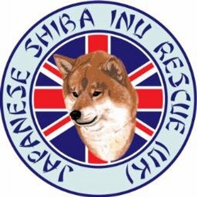 Shiba Inu Rescue Uk At Jsiruk Twitter