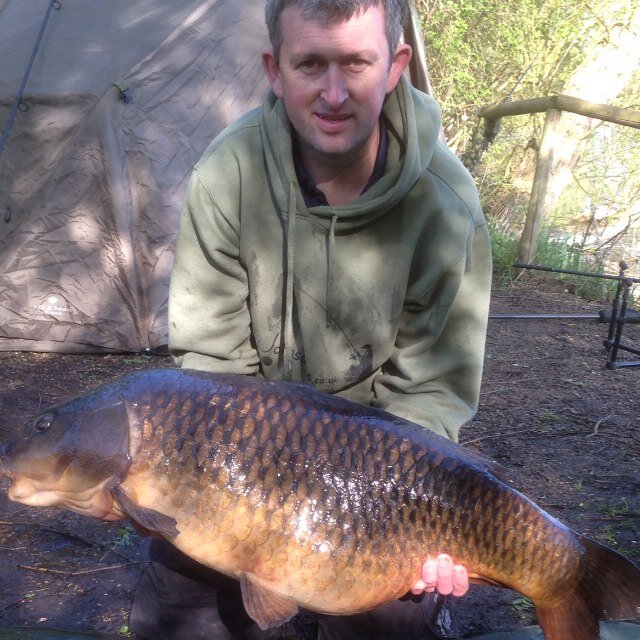 pshambrook24's profile picture. 