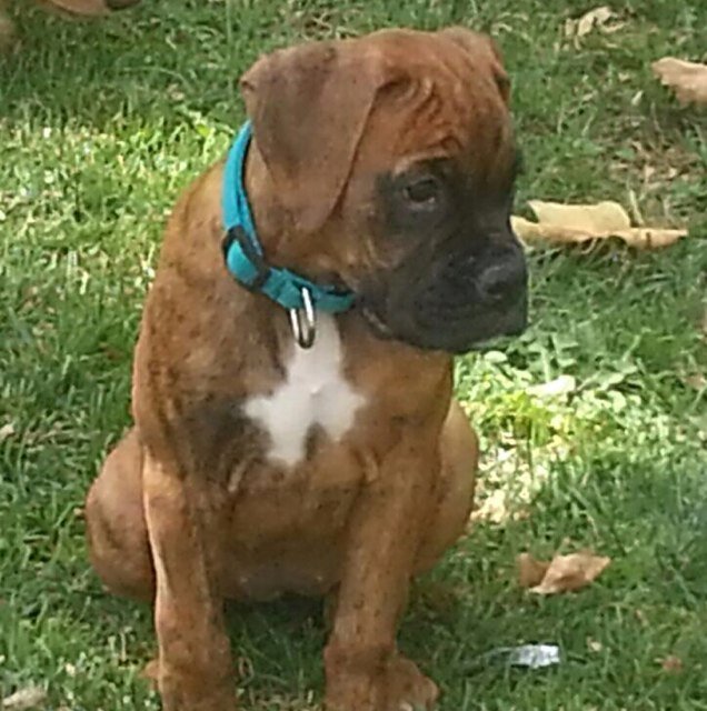 inmasota's profile picture. 