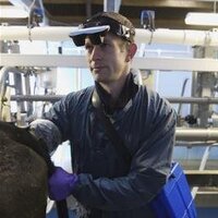 Clyde Farm Team (@clydefarmvets) 's Twitter Profile