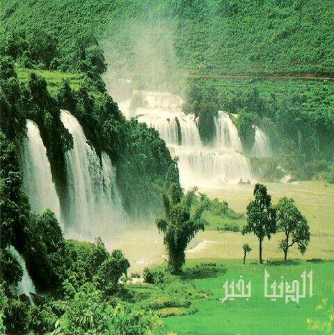 لروحك الطهر والعفاف امي ....ولك مني تحية اجلال ...رعاك الله ورزقك الشفاء العاجل إن شاء الله....خميس مشيط ...السعودية