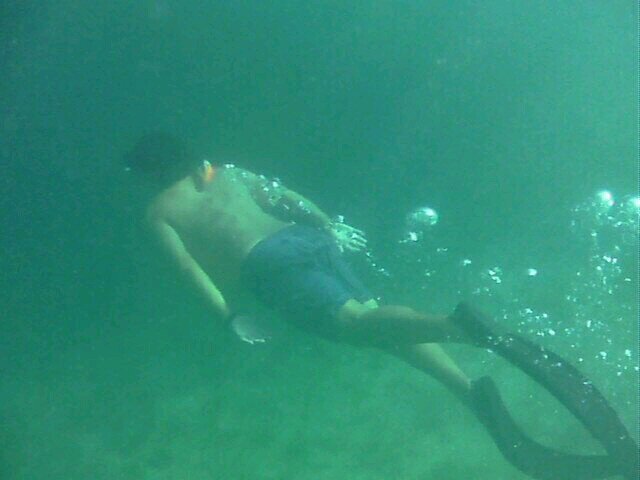 utku_ozden's profile picture. 