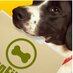 Dog Files (@dogfiles) Twitter profile photo