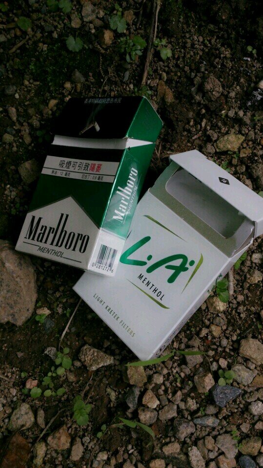 SachikoKyria's profile picture. life is not forever