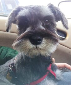 MrWilsonsDiary's profile picture. 