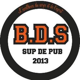 Bureau des Sports de l'école SUP DE PUB, GROUPE INSEEC