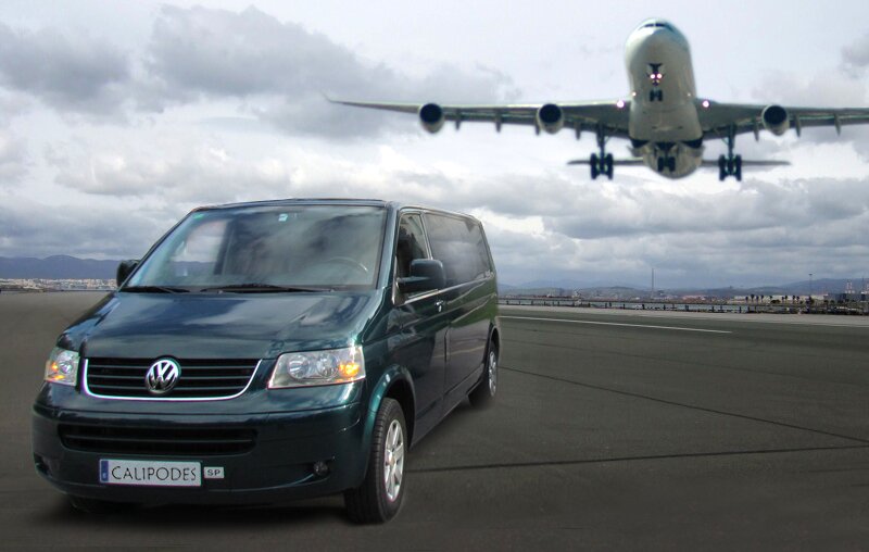 calipodes's profile picture. 