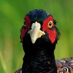Overkoepelend samenwerkingsverband van jagers, agrariërs en andere natuurbeheerders