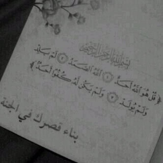 استغفر الله العظيم واتوب إليه .