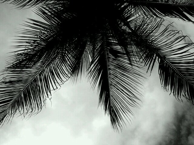 xEsmeeOoms's profile picture. Deze twitter is gehackt, volg @EsmeeOoms_ nieuwe twit.