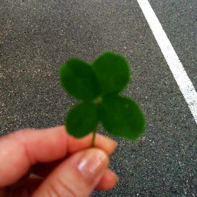 AFlutter05's profile picture. 