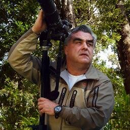 ateliersutulov's profile picture. artista visual / murales digitales / ediciones limitadas / proyectos de artes visuales / emplazamientos permanentes en espacios públicos y privados