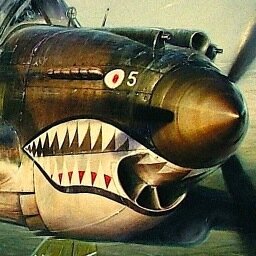 Historic Aviation Art of John D. Shaw