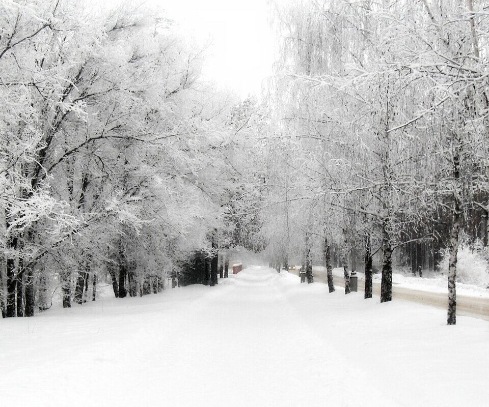 RockSolidIFB's profile picture. 