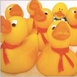 MooMooMusica1's profile picture. Multicultural Music & Movement Classes for Infants - Age 4! Founded in Venice California but taking our vision worldwide! Join us!