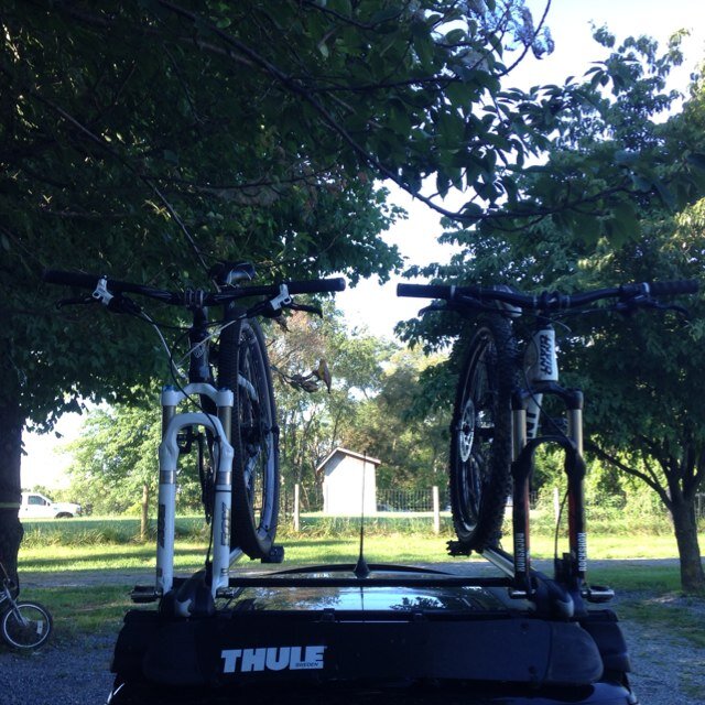 Jeepnbikes's profile picture. bicycle guy , horse husband ( trailer driver/ stall mucker /fence mender) , car nut .... usually walking a dog or 2