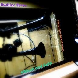 @mtuhky Horn. The only wireless goal horn in the CCHA! Brought to you by @TechHockeyGuide
