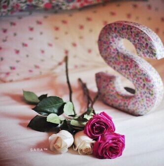 احلامي وردية..التفاؤل رفيق دربي..أمي و أبي اغلئ م املك ربي احفظهم      Everyday is a new beginning