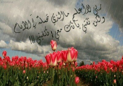رحلو وفي القلب مسكنهم
