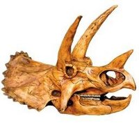 Череп-овец 🤍💙🤍 НАВАЛЬНЫЙ - ГЕРОЙ !!! (@goshacher) 's Twitter Profile