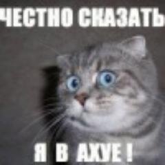 Я просто в ахуе!!!