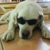 Birguis (@birguis) Twitter profile photo
