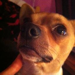 Nandor3131's profile picture. 