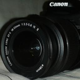 software engineer; father; finding pleasure in #photography; watching the #world through a #lense; capturing #light as #pixels;