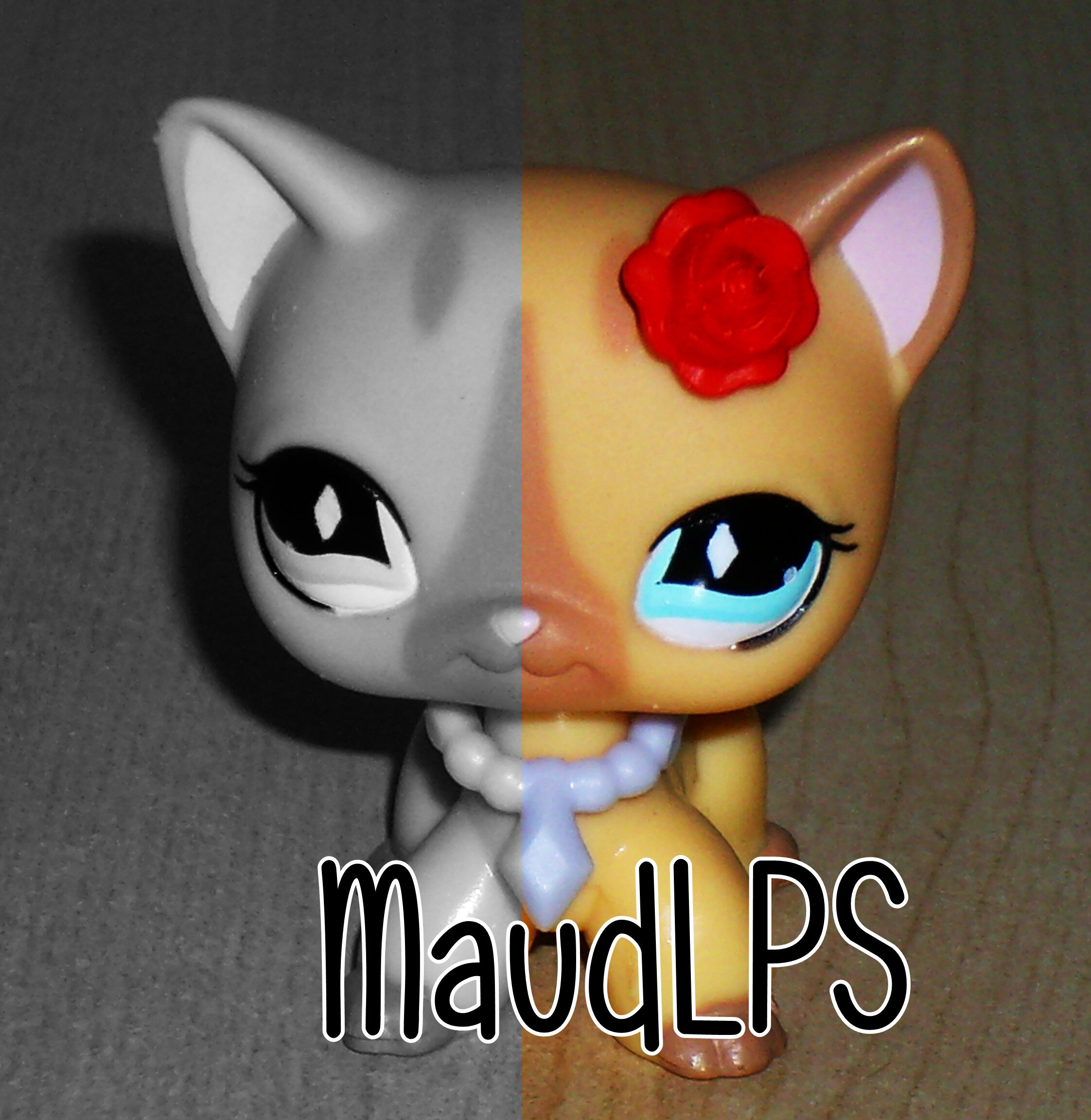 Hello ^^ I'm Maud. I am deeply shy and insomniac... Also, I am a HUGE Owl City fan :3
I make LPS videos on Youtube, check out my channel :) 
BUTTERFLY!