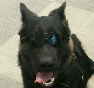 davestas65's profile picture. 