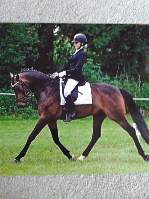 Equestrain~Dressage~Boginov Luca~Z1