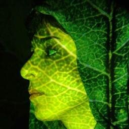 Somos una comunidad a favor del planeta, la naturaleza nos necesita ayúdanos a crecer como personas verdes ÚNETE.... No olvides Reduce,Reutiliza,Recicla...