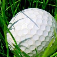 Golf-Club-Line(@GolfClubLine) 's Twitter Profile Photo