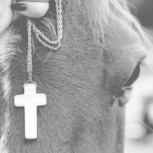 De leukste paarden tweets vindt je hier ! leuke wedstrijden, tweets & fotos ! Promo = promo back ! Follow = Follow back ♥