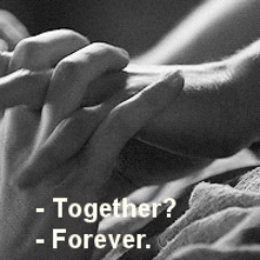 E1Light's profile picture. 