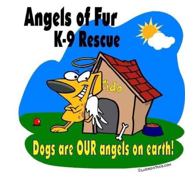 Backup acct: Non Profit, All volunteer K-9 Rescue of CNY. Pitties are our passion! We RT animal related items, Rescues/Shelters #nokill