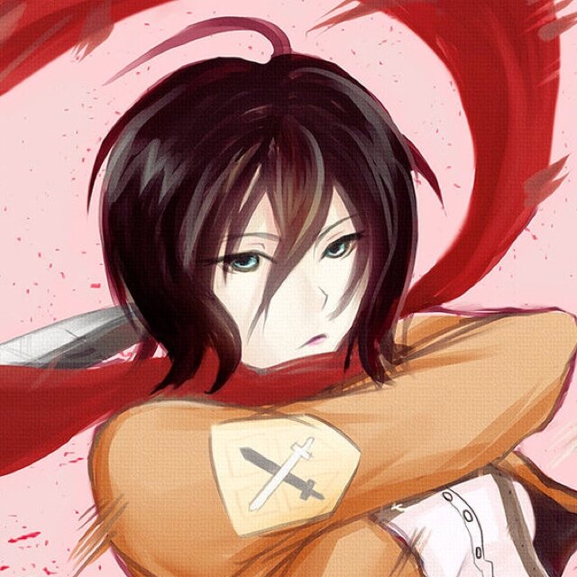 It's been five years since that titan showed up and changed everone's lives. Now, I have joined the Scouting Legion in order to help stop the Titans. [SNK RP]