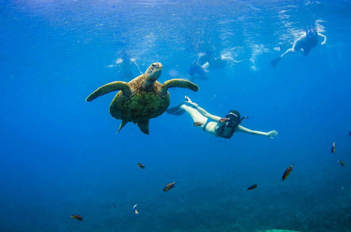 lucyjcoleman's profile picture. 