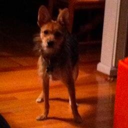 Piyoda13's profile picture. 