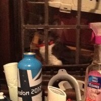 Rob (@robertjamesmcma) 's Twitter Profile