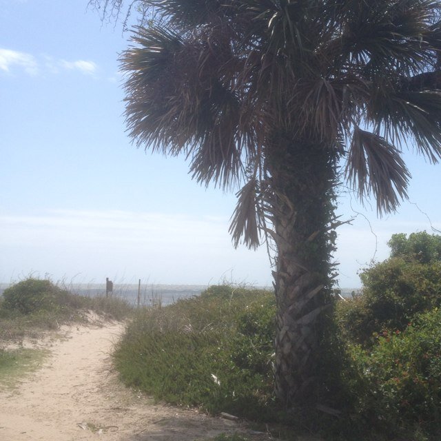 imsharona's profile picture. Owner of Sharon Albert Travel