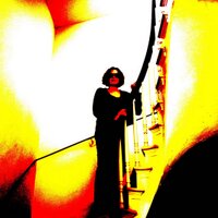 Tamar Steinitz (@nolongeronx2025) 's Twitter Profile Photo