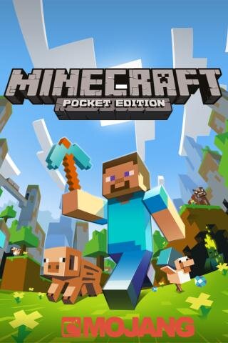 Bloguer y Youtuber principiante y experto en minecraft