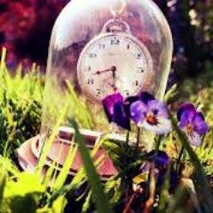 Mi vida......Muchas cosas que contar y muchas cosas que todavia me quedan por hacer.................